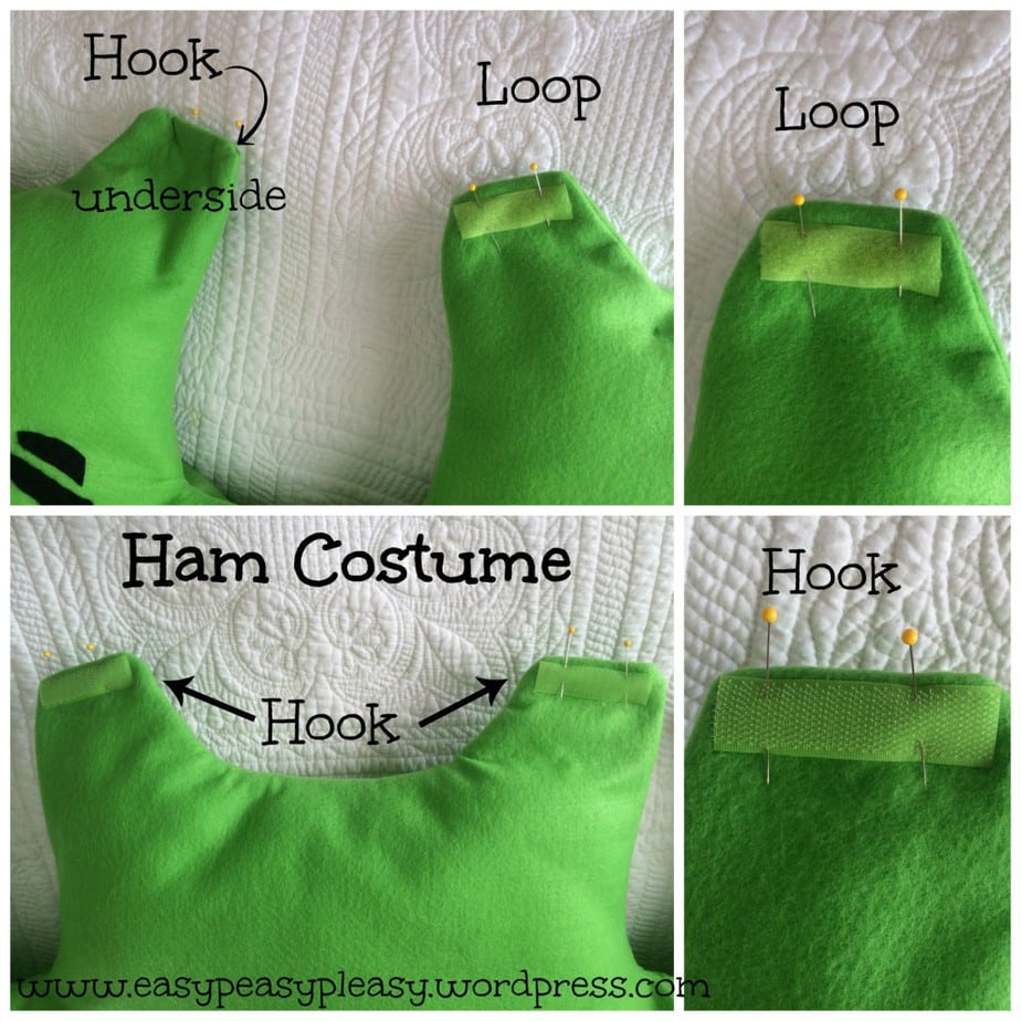 All Things Dr. Seuss-DIY Green Eggs and Ham Costume - Easy Peasy Pleasy