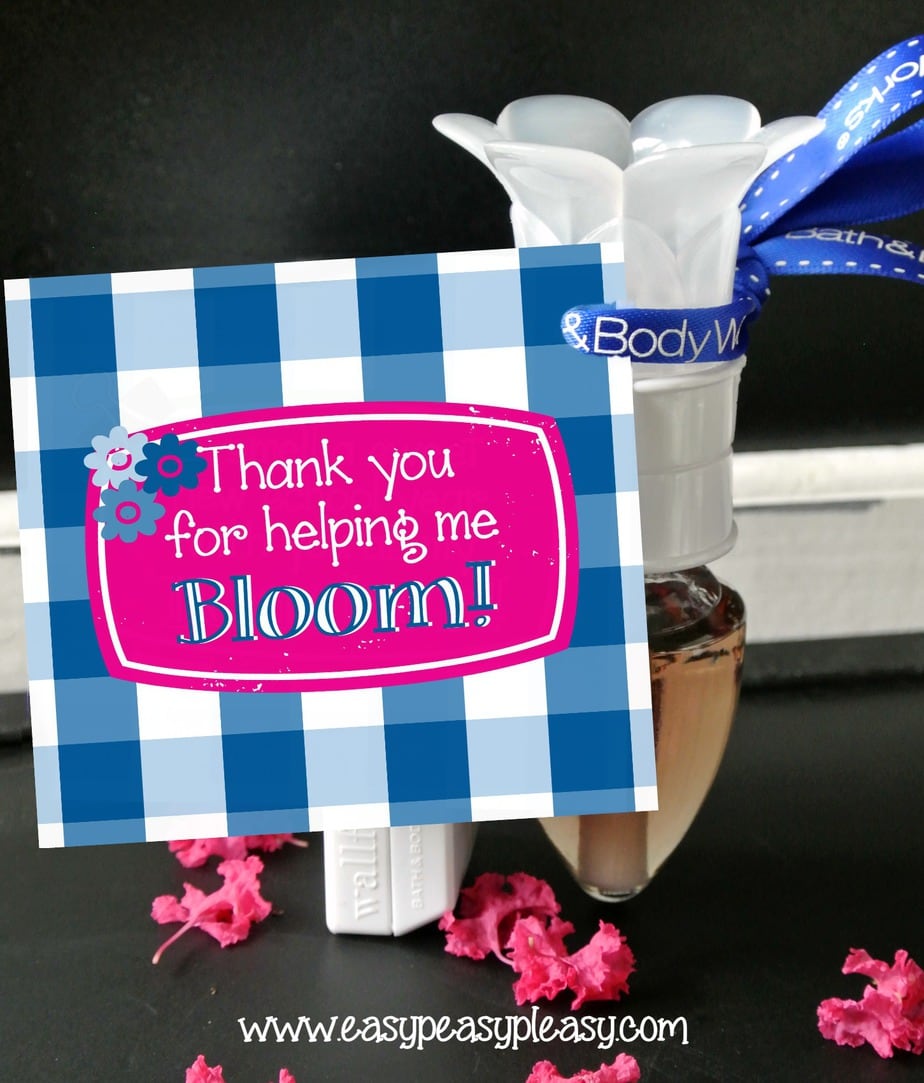 Free printable Teacher Appreciation gift tag and inexpensive gift idea!