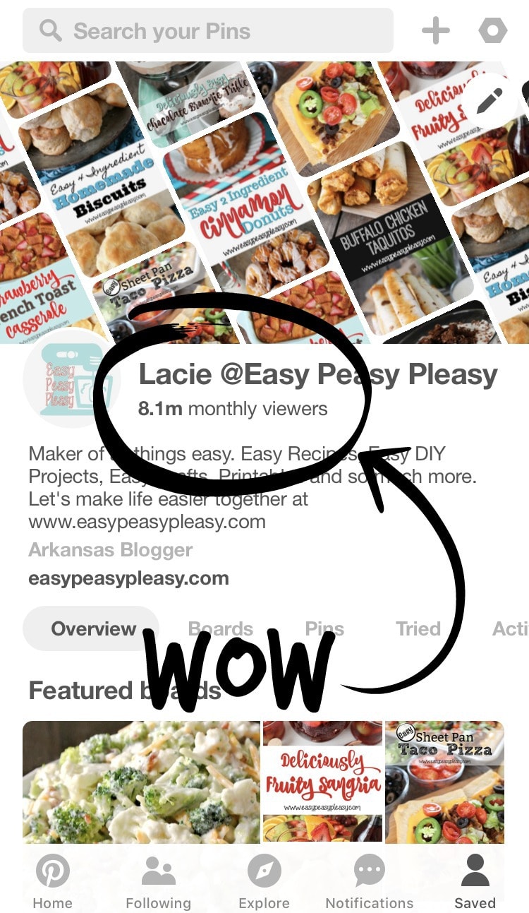 Amazing Pinterest monthly views at EasyPeasyPleasy.com