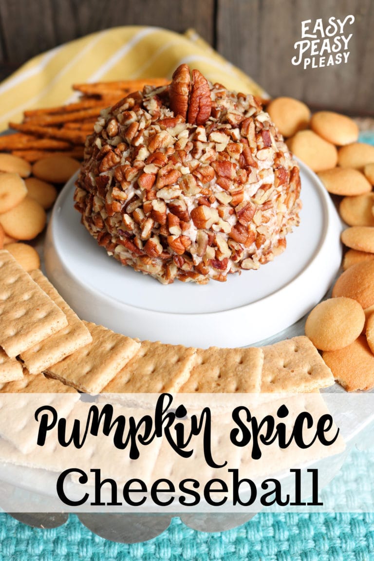 Pumpkin Spice Cheese Ball using 4 Ingredients - Easy Peasy Pleasy